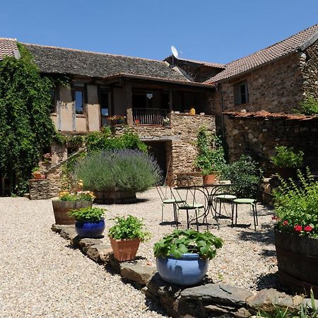 Chambres D'Hotes Le Puits D'Amour Mirandol-Bourgnounac ภายนอก รูปภาพ