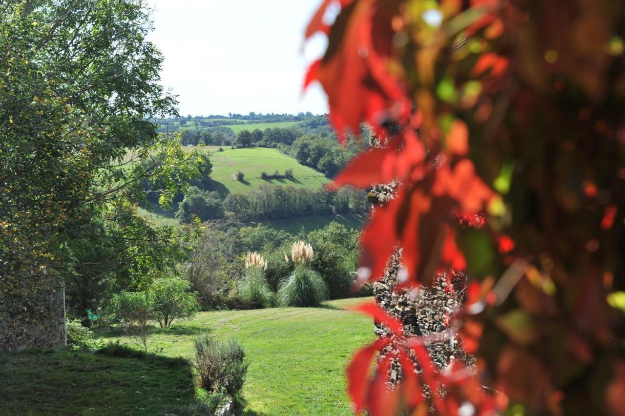 Chambres D'Hotes Le Puits D'Amour Mirandol-Bourgnounac ภายนอก รูปภาพ