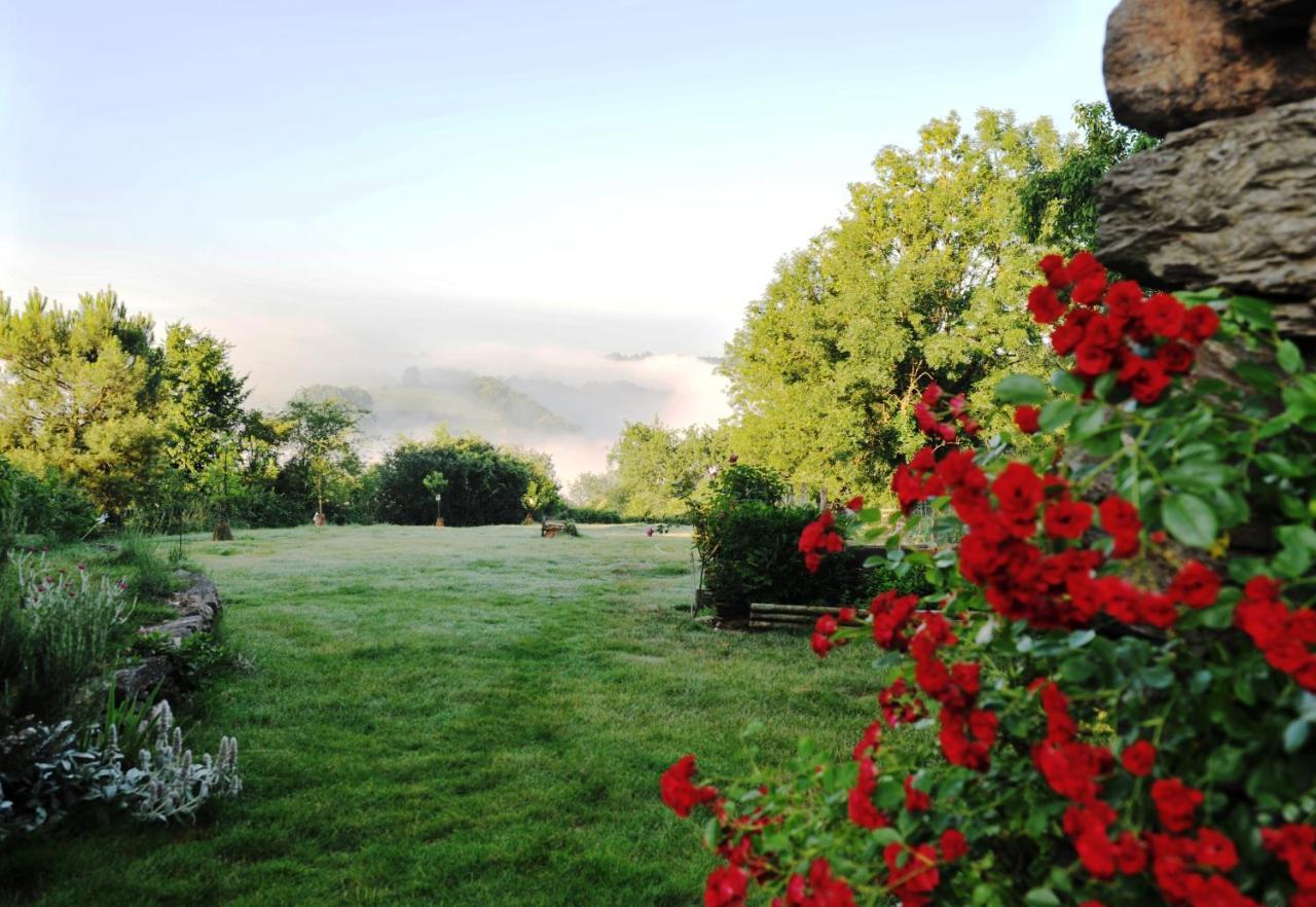Chambres D'Hotes Le Puits D'Amour Mirandol-Bourgnounac ภายนอก รูปภาพ